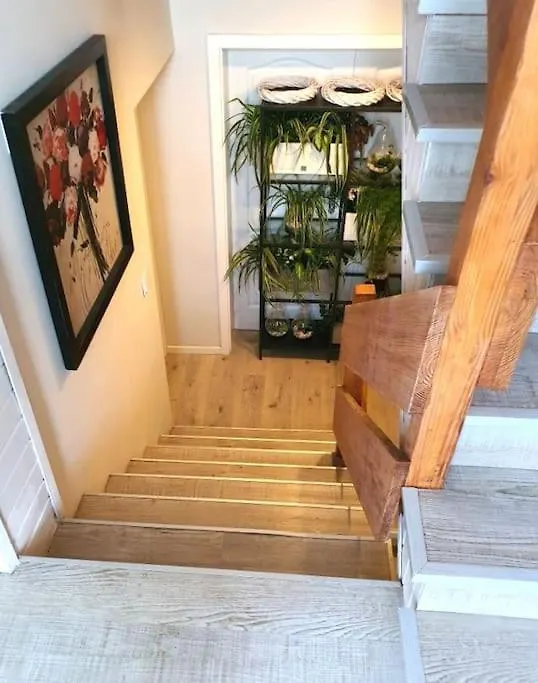 Zielony Apartament. Poznan Poland
