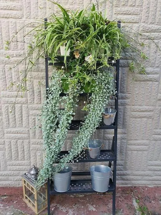 Apartament Zielony Apartament. Poznań Polska