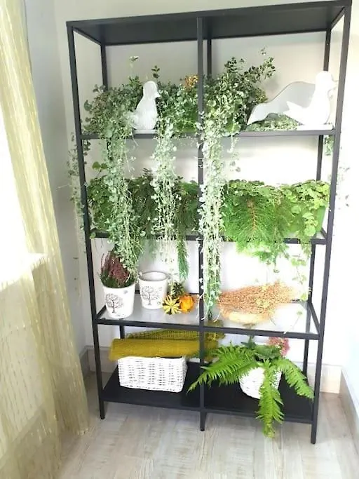 Zielony Apartament. Poznań Apartament